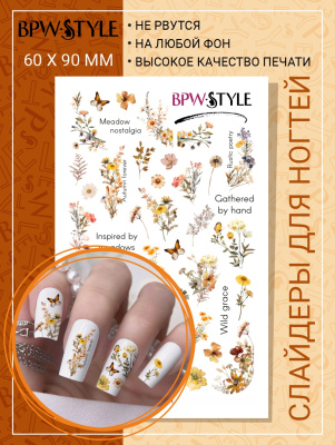 Слайдер-дизайн Полевые сухоцветы из каталога Цветные на любой фон, в интернет-магазине BPW.style